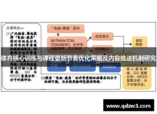体育核心训练与课程更新节奏优化策略及内容推送机制研究